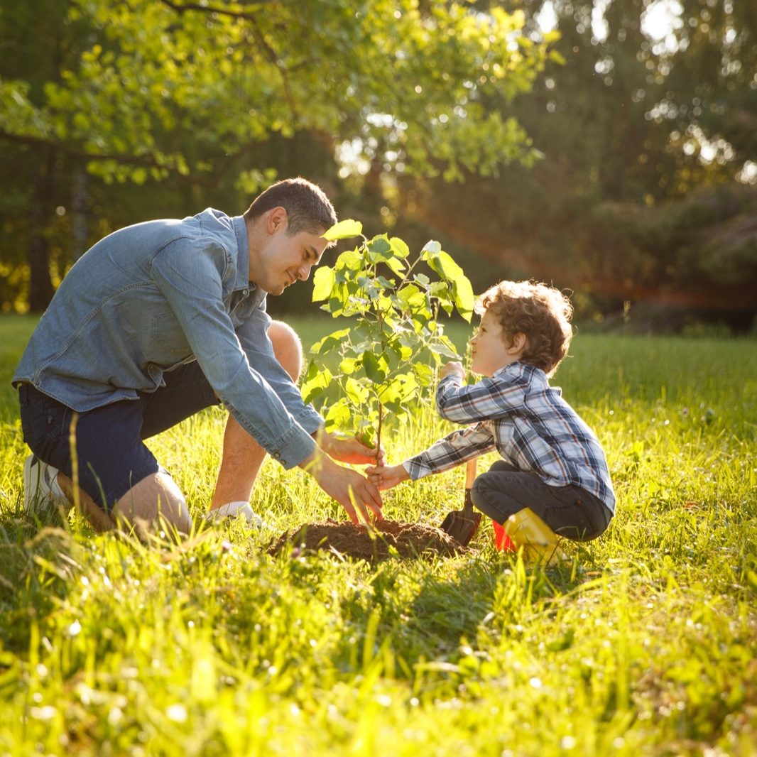 Parent and child planting tree